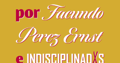 LEY BASES por Facundo Pérez Ernst e Indisciplinadxs