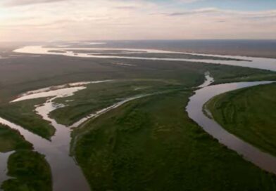 Humedales, Agronegocios y Mercado Inmobiliario